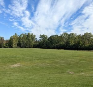 Soccer Field image 2